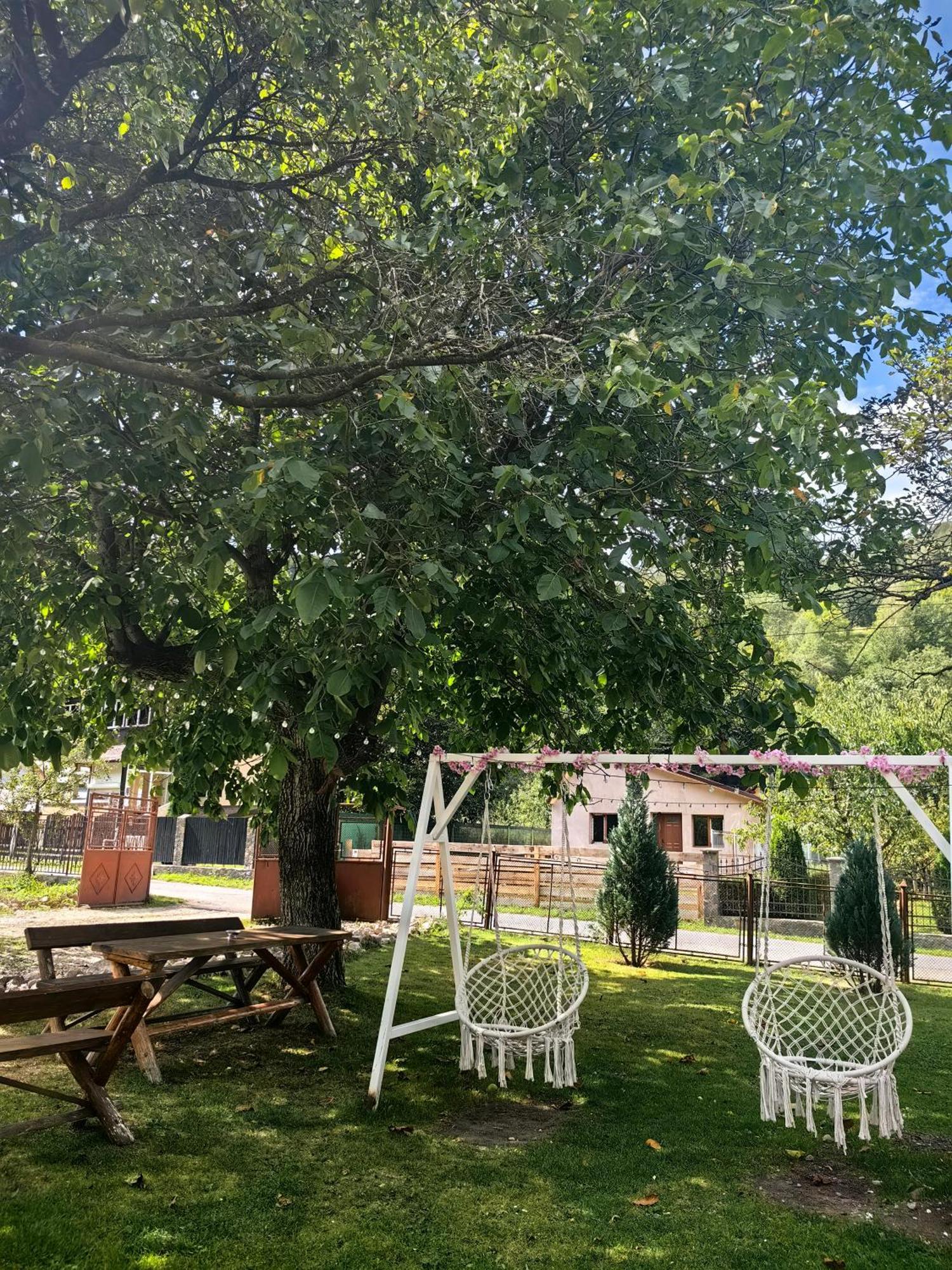 Voinescu House - Natural Living & Eating Șimon Dış mekan fotoğraf